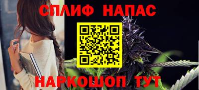 тгк Новодвинск