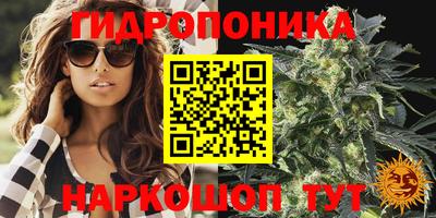 дмт Новозыбков