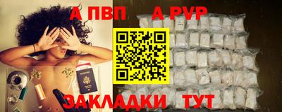 тгк Новодвинск