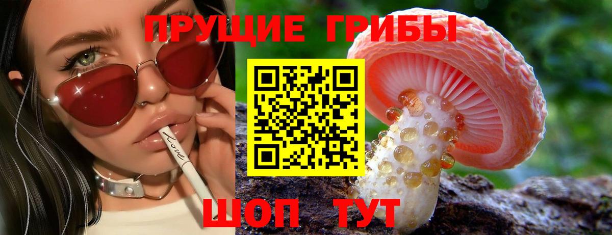 Галлюциногенные грибы мухоморы Курганинск